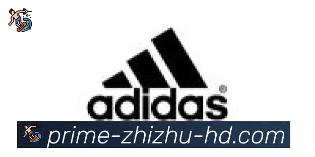 蜘蛛直播合作伙伴