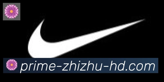 蜘蛛直播合作伙伴